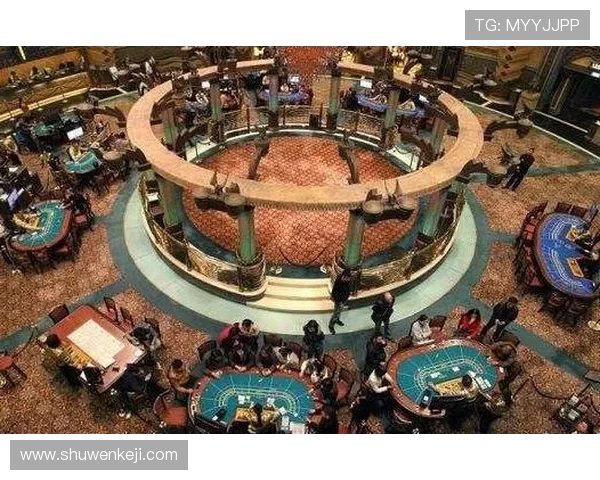 澳门赌场里的百家乐高额投注技巧，如何安全实现盈利目标